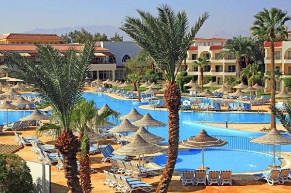 Рейтинг интересных отелей Египта