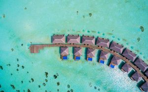 cocoon maldives 5*