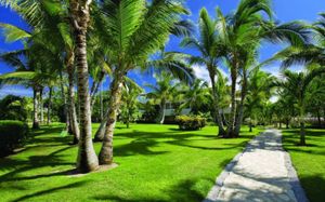 catalonia bavaro beach, golf & casino resort 5*