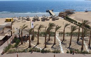 viva blue resort 4*