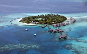 gangehi island resort 5*