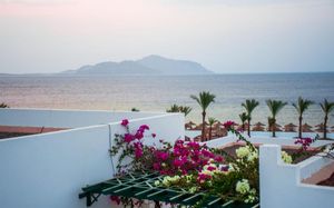 coral beach montazah the view 4*