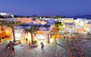 domina coral bay oasis hotel 5*