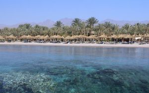 jaz fayrouz resort (ex. hilton sharm fayrouz resort) 4*