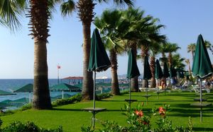 sea gull hotel 4*