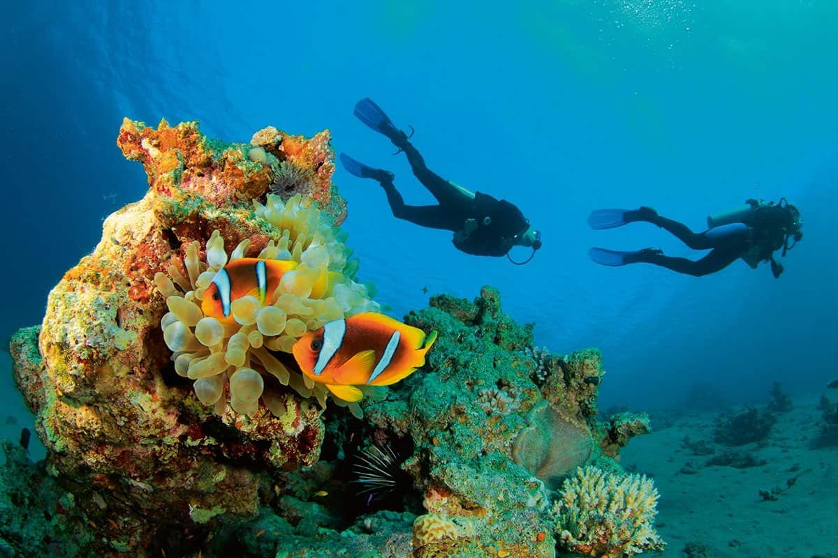 Купити тур в Єгипет із Запоріжжя