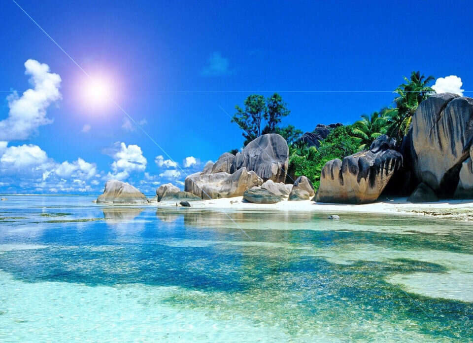 Путевка на Шри Ланку цена