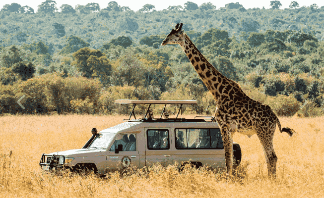 Тури в Танзанію