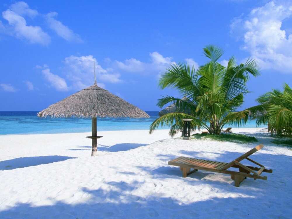 Тур в ОАЭ из Киев