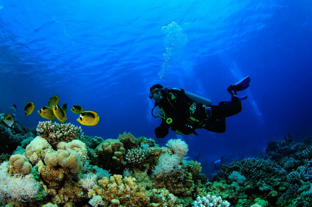 Туры на Сейшелы в феврале